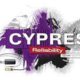cypres 12/2019