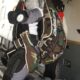 Vend TDM Atom + BT 80